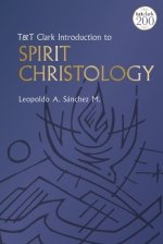 T&t Clark Introduction to Spirit Christology