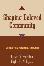 Shaping Beloved Community: Multicultural Theological Education