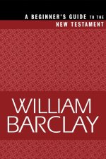 Beginner's Guide to the New Testament