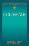 Colossians : Abingdon New Testament Commentary