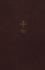 NRSV, Catholic Journal Bible, Leathersoft, Brown, Comfort Print