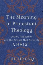 The Meaning of Protestant Theology: Luther, Augustine, and the Gospel That Gives Us Christ