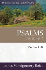 Psalms 1-41 : Expositional Commentary