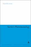 Sartre\'s Phenomenology
