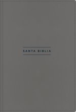NVI, Santa Biblia, Texto revisado 2022, Una Columna con Referencias, Piel Reciclada, Palabras de Jesús en Rojo, Gris, Comfort Print