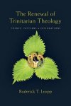 The Renewal of Trinitarian Theology: Themes, Patterns & Explorations