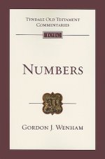 Numbers: An Introduction and Commentary Volume 4