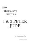 1 & 2 Peter and Jude: A Critical & Exegetical Commentary