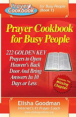 Prayer Cookbook for Busy People (Book 1): 222 Golden Key Prayers