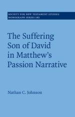 Suffering Son Of David In Matthew\'s Passion Narrative