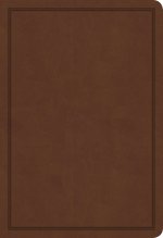 KJV Deluxe Gift Bible, Brown LeatherTouch