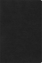 RVR 1960 Biblia de Estudio Arcoíris, negro símil piel con índice