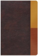 RVR 1960 Biblia de Estudio Arcoíris, cocoa/ terracota símil piel con índice