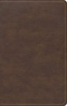 CSB Single-Column Compact Bible, Brown LeatherTouch