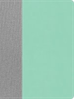 CSB Lifeway Women's Bible, Gray/Mint LeatherTouch
