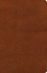 NASB Large Print Personal Size Reference Bible, Burnt Sienna LeatherTouch, Indexed