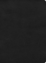 CSB Apologetics Study Bible, Black LeatherTouch