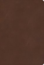 CSB Rainbow Study Bible, Brown LeatherTouch, Indexed