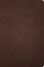 CSB Large Print Thinline Bible, Holman Handcrafted Collection, Brown Premium Goatskin