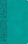 CSB Large Print Personal Size Reference Bible, Teal LeatherTouch, Indexed