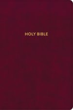KJV Rainbow Study Bible, Burgundy LeatherTouch