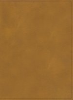 RVR 1960 Biblia ilustrada de la Tierra Santa, café símil piel con índice