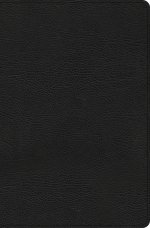 CSB Everyday Study Bible, Black Bonded Leather