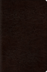 ESV New Classic Reference Bible