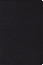 ESV Verse-by-Verse Reference Bible