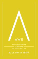 Awe