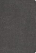 ESV Student Study Bible, Imitation Leather, Gray, Study Notes, Concordance, Maps, Topical Articles