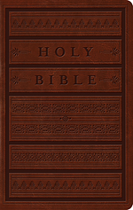 ESV Large Print Personal Size Bible (Trutone, Brown, Engrave
