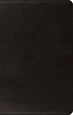 ESV Large Print Thinline Bible (Genuine Leather, Black)