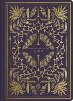 John - ESV Illuminated Scripture Journal