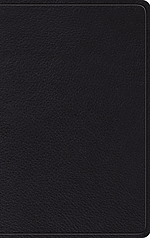 ESV Thinline, Bible, Black, Leather, Red Letter, Maps, Concordance, Ribbon Marker, Pagination Matches ESV Pew Bibles