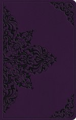 ESV Large Print Value Thinline Bible
