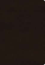 ESV Single Column Journaling Bible, Large Print (TruTone, Deep Brown)
