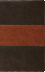 ESV Large Print Personal Size Bible, Red Letter (TruTone, Forest/Tan, Trail Design)