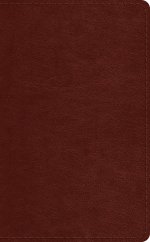 ESV Pocket Bible