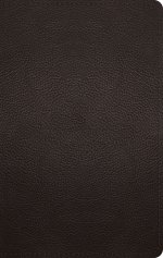 ESV Large Print Personal Size Bible, Red Letter (Buffalo Leather, Deep Brown)
