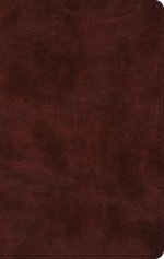 ESV Large Print Thinline Bible (TruTone, Mahogany)