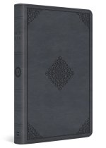 ESV Large Print Thinline Bible (TruTone, Azurite Blue, Ornament Design)