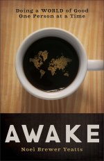 Awake [eBook]