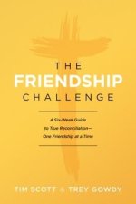 Friendship Challenge