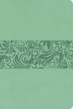 RVR 1960 Biblia para regalos y premios, turquesa símil piel