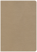 CSB She Reads Truth Bible, Champagne Gold, Imitation Leather, Women's Study, Devotionals, Wide Margins, Journalling, Illustrated, Maps, Reading Plans, Book Introductions, Topical Index, Ribbon Markers