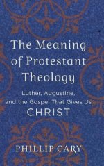 Meaning of Protestant Theology