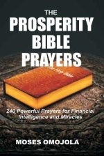 Prosperity Bible Prayers