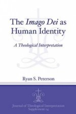 The Imago Dei as Human Identity