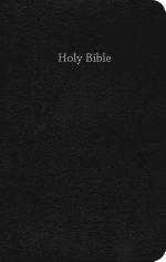 CEB Common English Bible Gift & Award Black Red Letter Edition